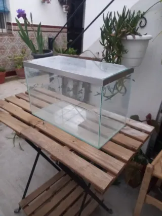 Pecera o terrario de cristal