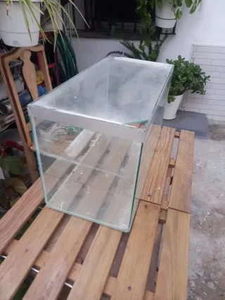 Pecera o terrario de cristal