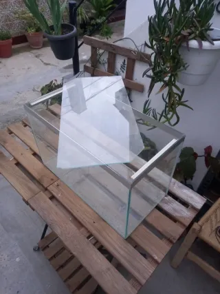 Pecera o terrario de cristal