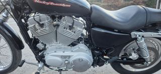 HARLEY-DAVIDSON 883 CUSTOM