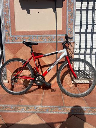 Bicicleta de montaña Topbike 26