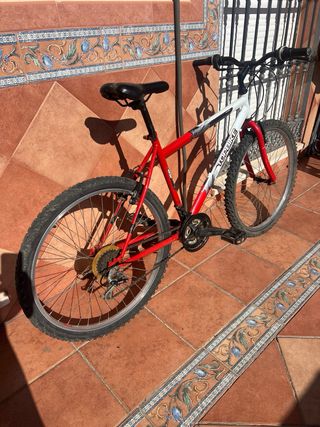 Bicicleta de montaña Topbike 26