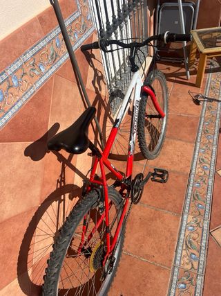 Bicicleta de montaña Topbike 26