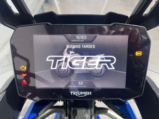Triumph Tiger Rally Pro