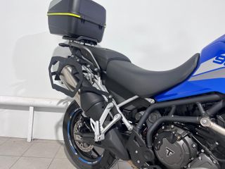 Triumph Tiger Rally Pro