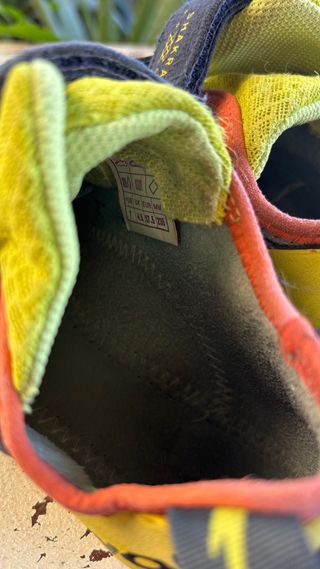 Pie de gato Evolv Shakra