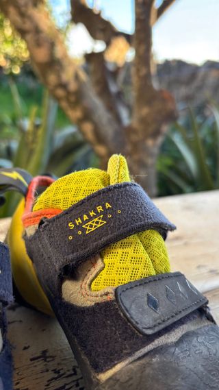 Pie de gato Evolv Shakra