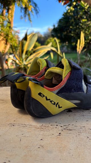 Pie de gato Evolv Shakra