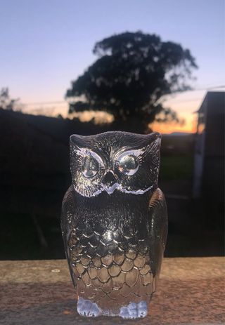 Búho de cristal decorativo
