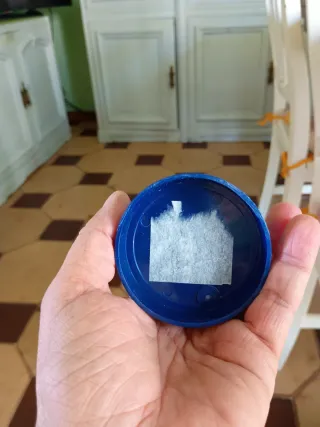 Globo Disneyland Paris con Mickey e Minnie