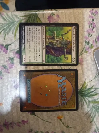 *Magic Mago della Gilda Golgari 2/2