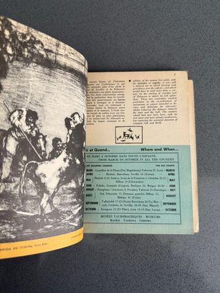 LOS TOROS FIESTA ESPAÑOLA TAUROMAQUIA EN FRANCÉS