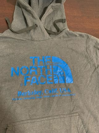 Sudadera The North Face Berkley USA Gris