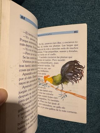 Memorias de una gallina. Llibre infantil