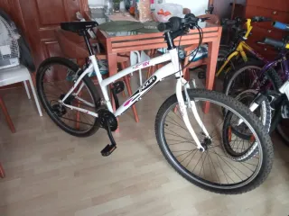 Bicicleta de montaña blanca