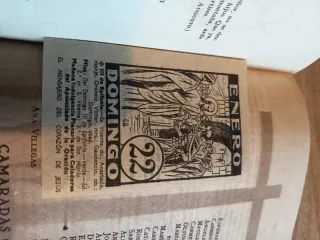 Libro Sección Femenina FET y de las JONS