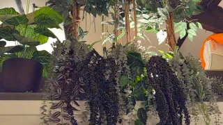 Conjunto plantas artificiales