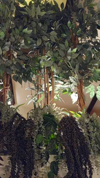 Conjunto plantas artificiales