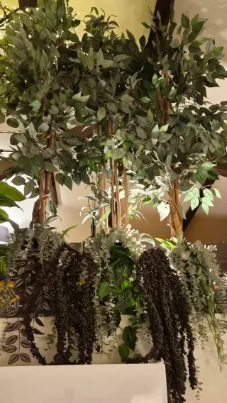 Conjunto plantas artificiales