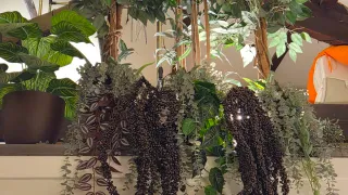 Conjunto plantas artificiales