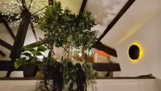 Conjunto plantas artificiales