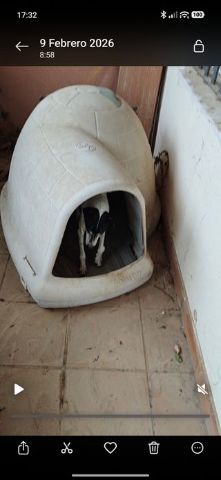 Caseta Perro Iglú Beige/Negro