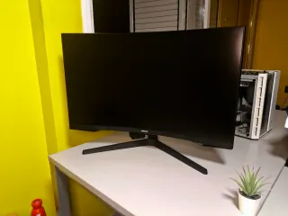 Pantalla / Monitor Ordenador