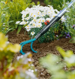 Mini Ragno Giardino Gardena