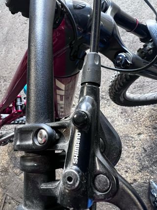 Bicicleta Montaña Eléctrica Bosch