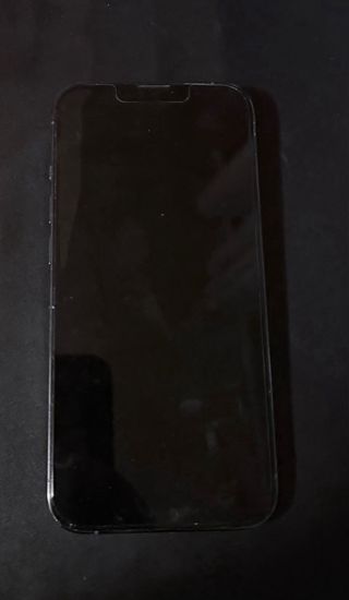 iPhone 13 Pro 256 GB