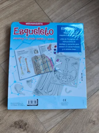 Megamaqueta Esqueleto