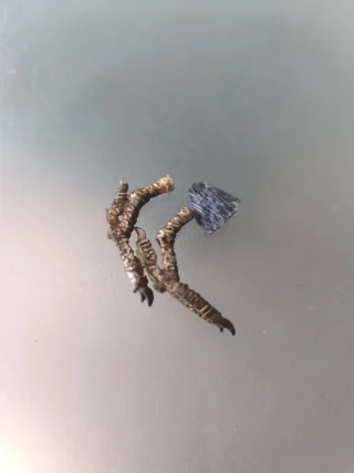 Figura Loro cuarzo rosa sobre geoda amatista