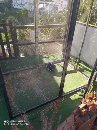 Grande voliera per uccelli