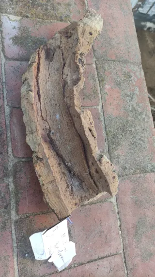 Cueva terrario acuarios corcho natural