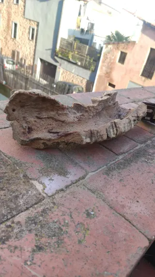 Cueva terrario acuarios corcho natural