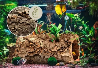 Cueva terrario acuarios corcho natural