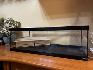 Tortuguera modelo Tortum