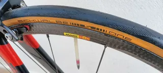 Bicicleta Willier para escuelas