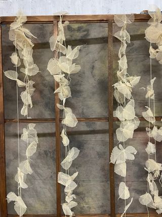 Tiras de hojas secas crema para atrezzo