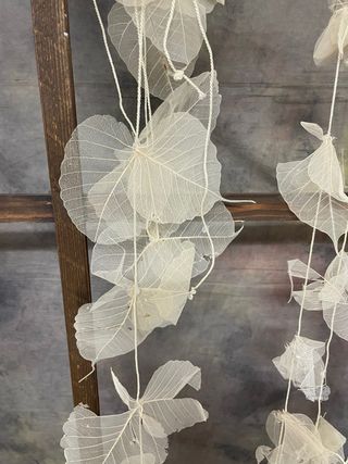 Tiras de hojas secas crema para atrezzo