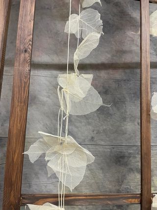 Tiras de hojas secas crema para atrezzo