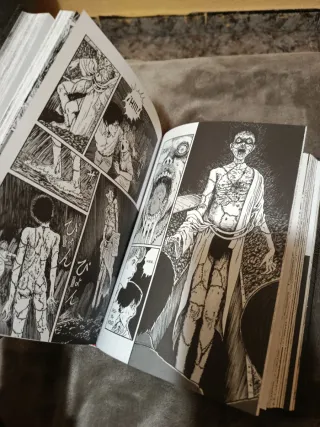 Uzumaki Integral: Espiral