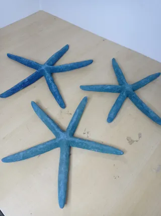 Estrellas de Mar Decorativas Turquesa