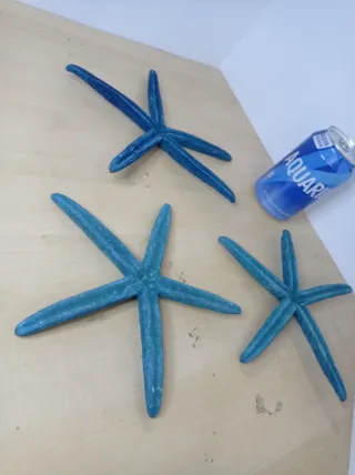 Estrellas de Mar Decorativas Turquesa
