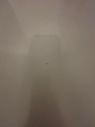 Mesa Comedor Blanca y Madera 80x130