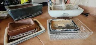 Bandejas de trabajo y plantación bonsai