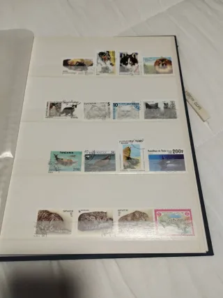 Sellos varios 129 unidades, regalo el archivador