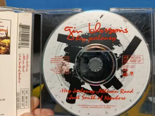 CD Single Gin Blossoms - Hey Jealousy
