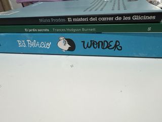 Dos en catalan y uno en castellano Libros escolare