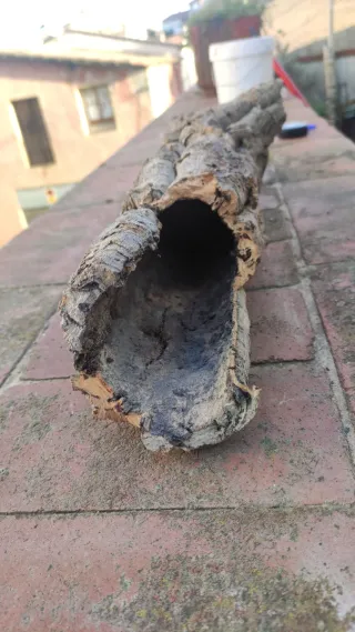 Cueva terrario escondite tronco